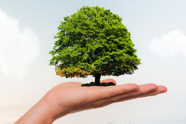 The Rise of ESG & Its Impact on Facility Management